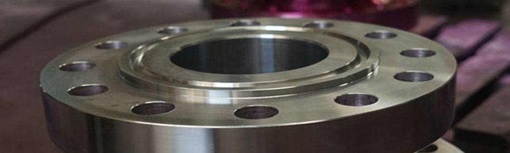 Ring Type Joint Flanges / RTJ Flanges