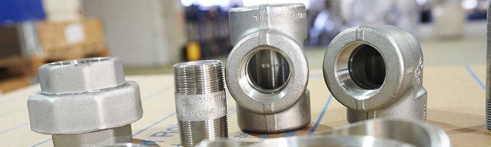 Stainless Steel 304L Forged Fittings