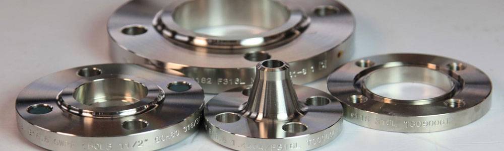 Stainless Steel 310 Flanges