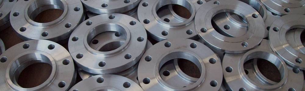 Stainless Steel 310S Flanges